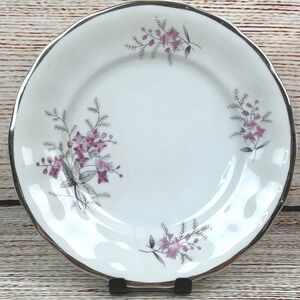 Favolina Karolina Jarolina Porcelain Salad‎ Plate 3879 Floral Silver Scalloped 9